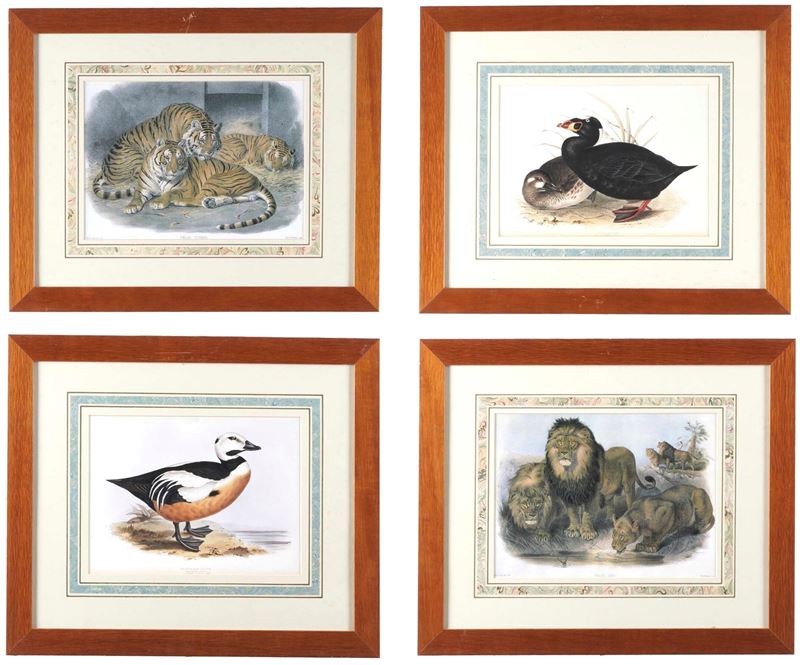 Quattro stampe raffiguranti speci animali  - Asta Antiquariato - Cambi Casa d'Aste