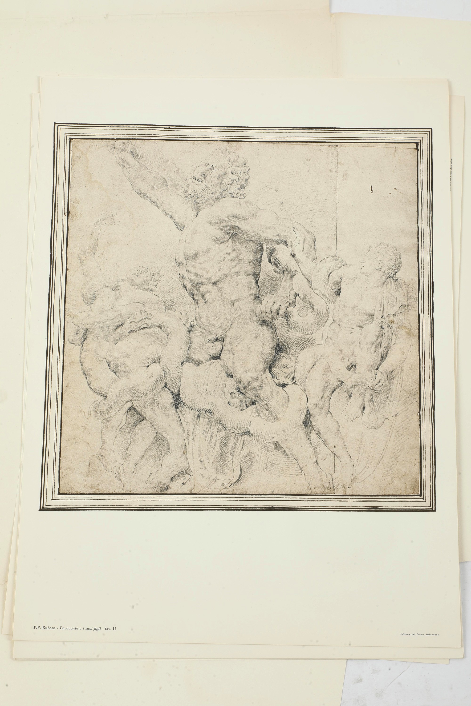 Lamberto Vitali, Cartella contenente riproduzioni di disegni dell’Ambrosiana di Pietro Paolo Rube...