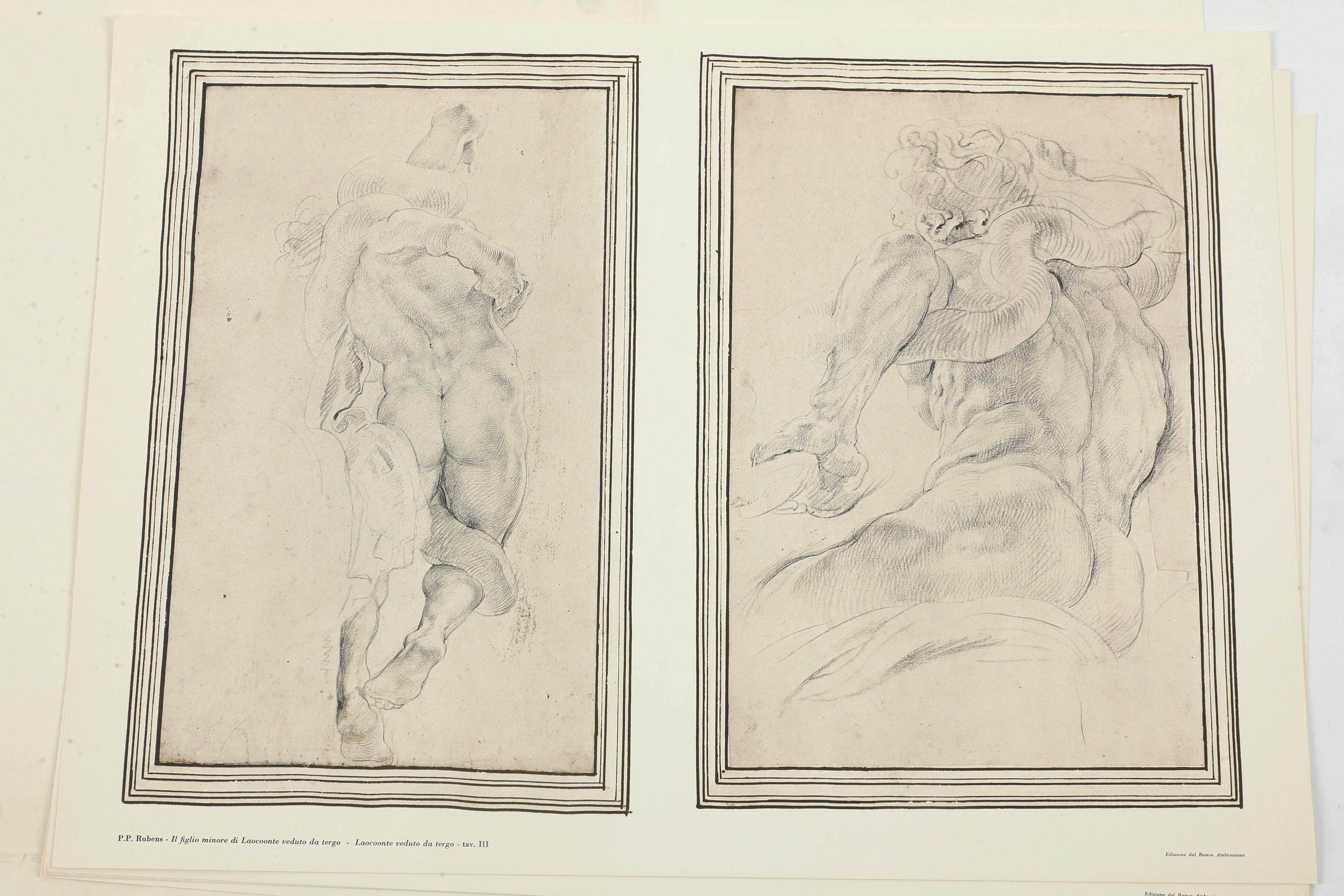 Lamberto Vitali, Cartella contenente riproduzioni di disegni dell’Ambrosiana di Pietro Paolo Rube...