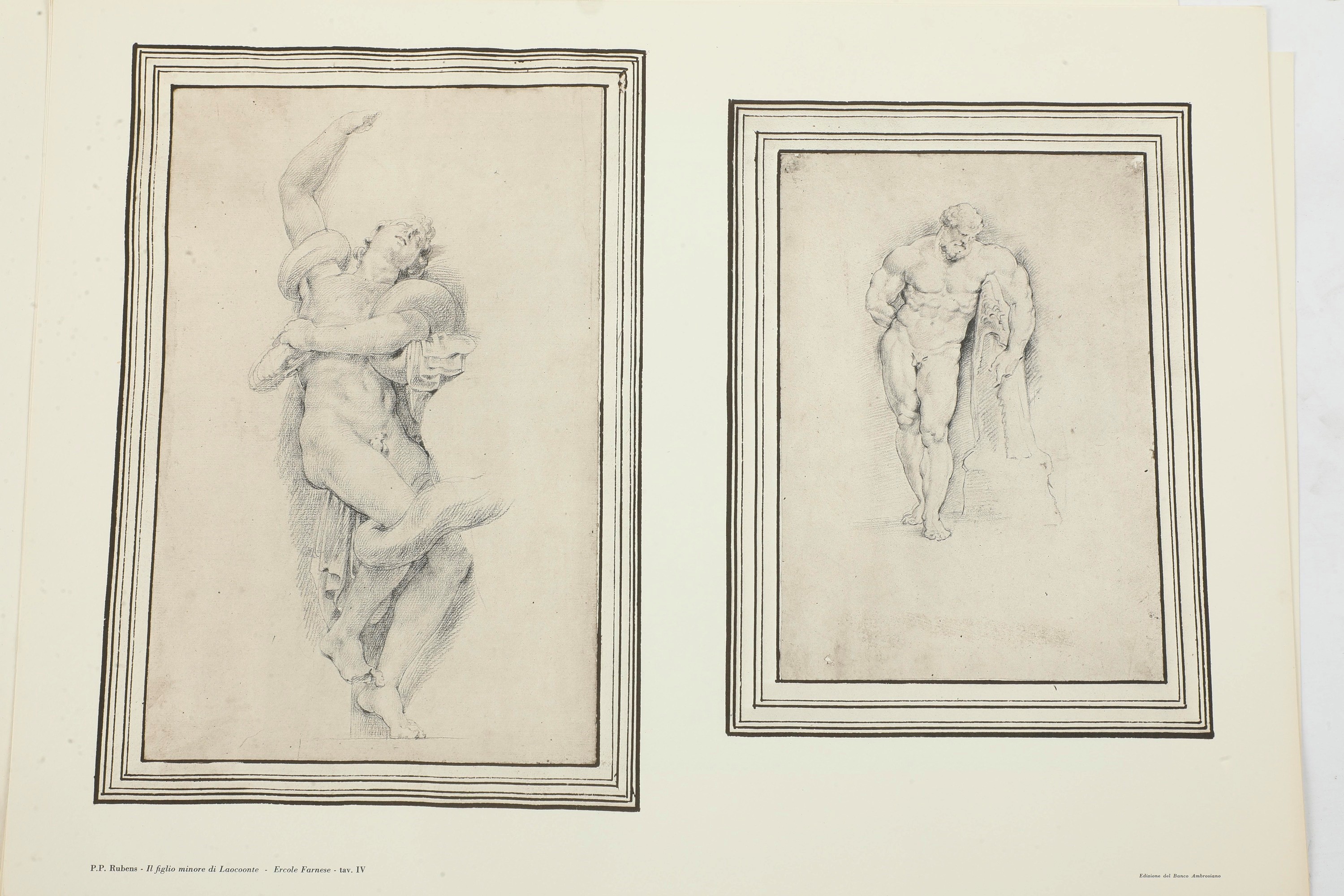 Lamberto Vitali, Cartella contenente riproduzioni di disegni dell’Ambrosiana di Pietro Paolo Rube...
