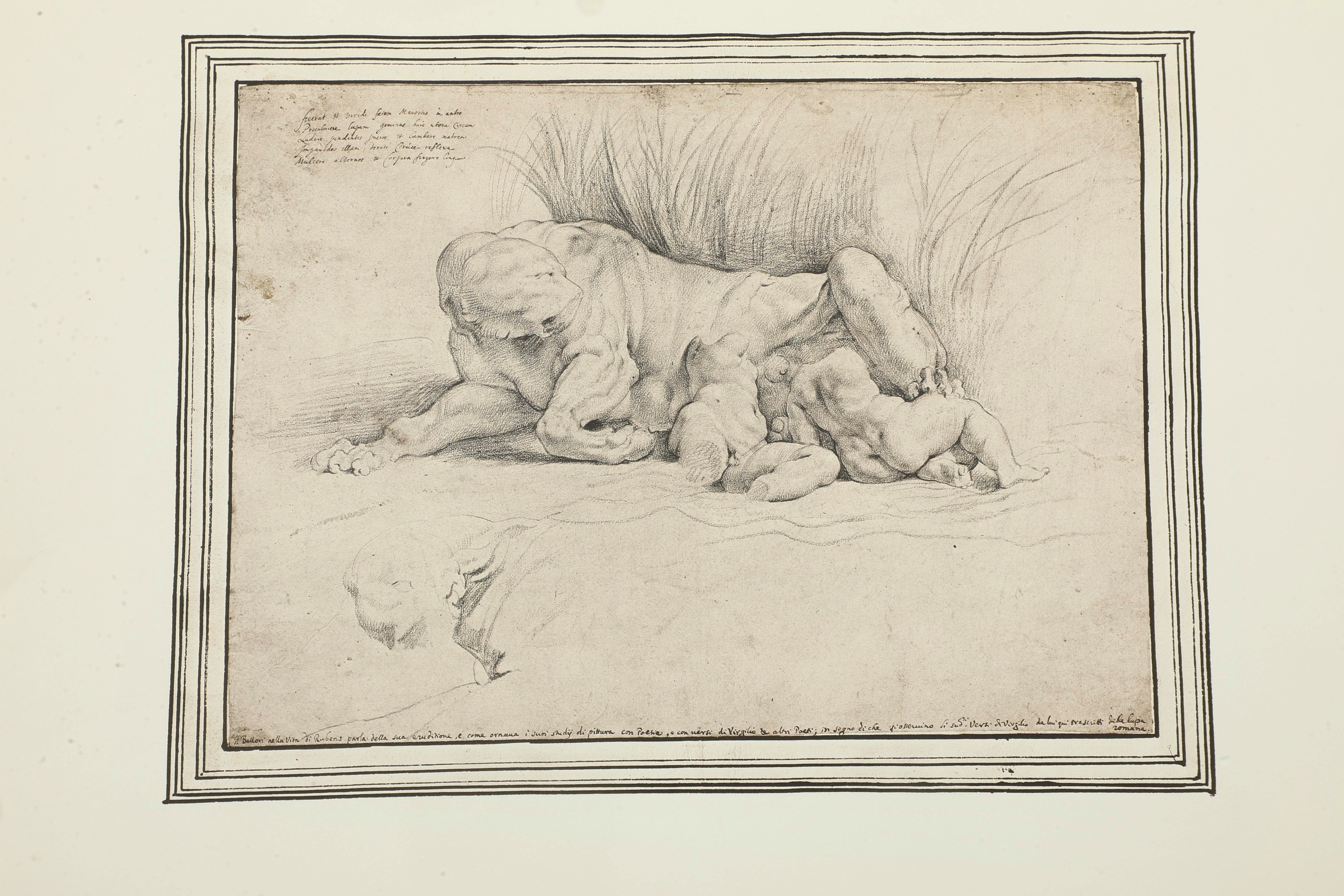 Lamberto Vitali, Cartella contenente riproduzioni di disegni dell’Ambrosiana di Pietro Paolo Rube...