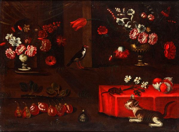 Scuola del XVIII secolo Natura morta con gatto