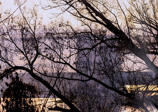 dittico Senza titolo, dalla serie "Fog"