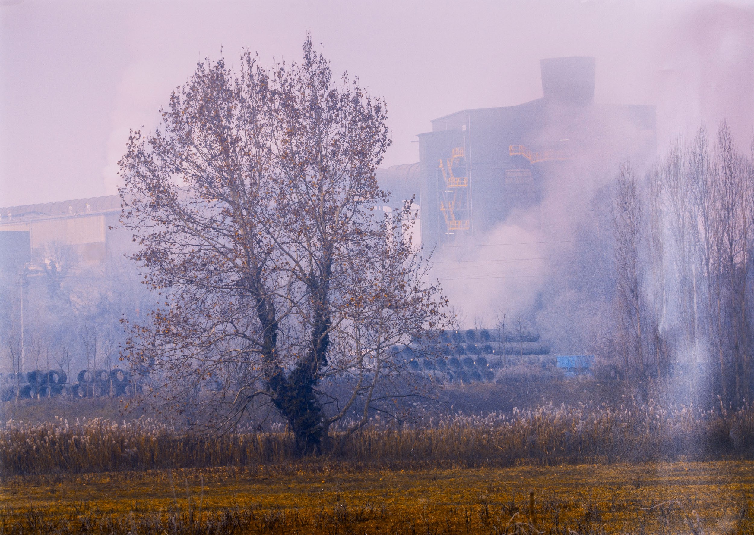 Abbas Gharib - Dittico Senza Titolo, dalla Serie "fog"
