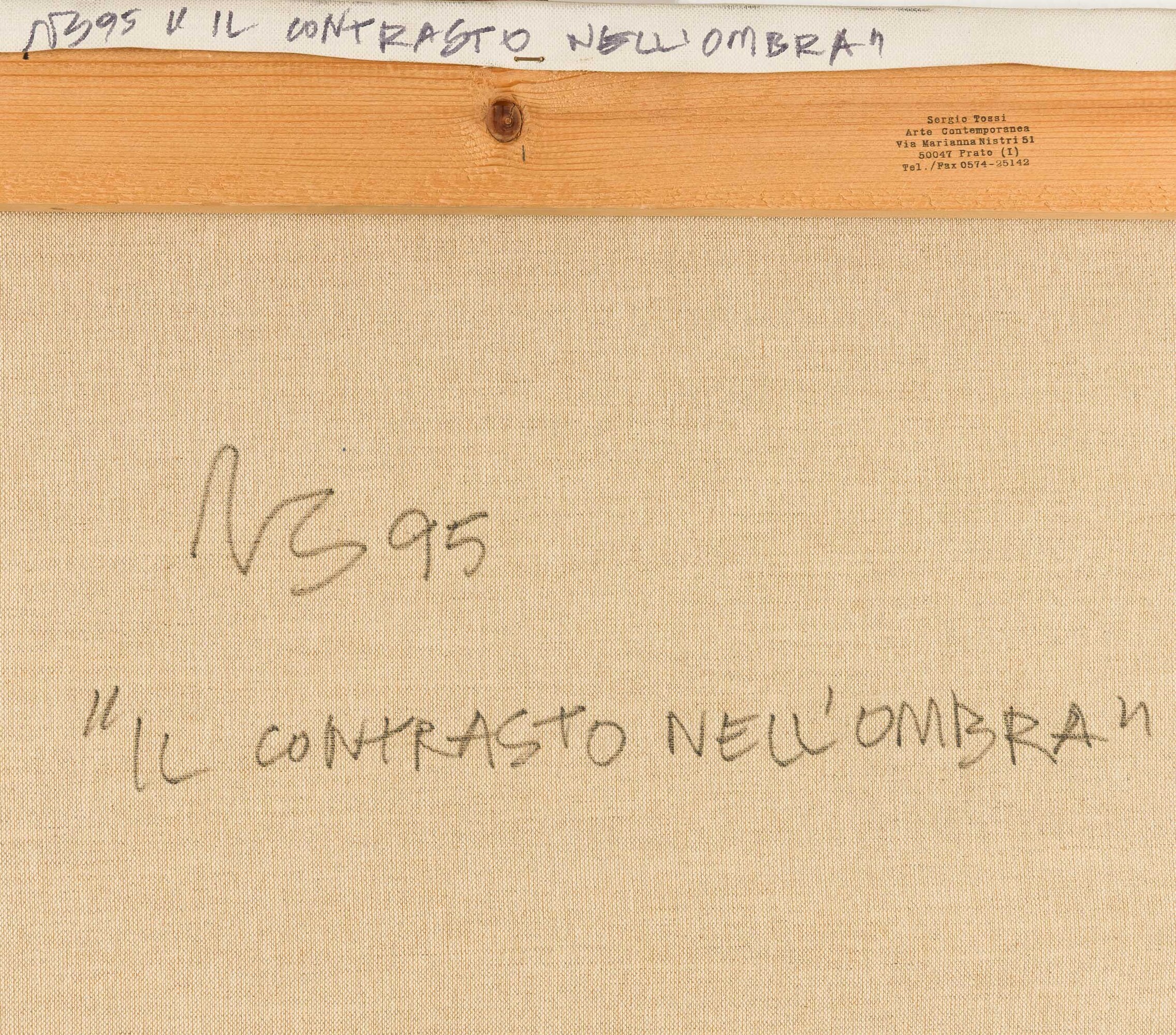Alessandro Bazan - Il contrasto nell'ombra, olio su tela