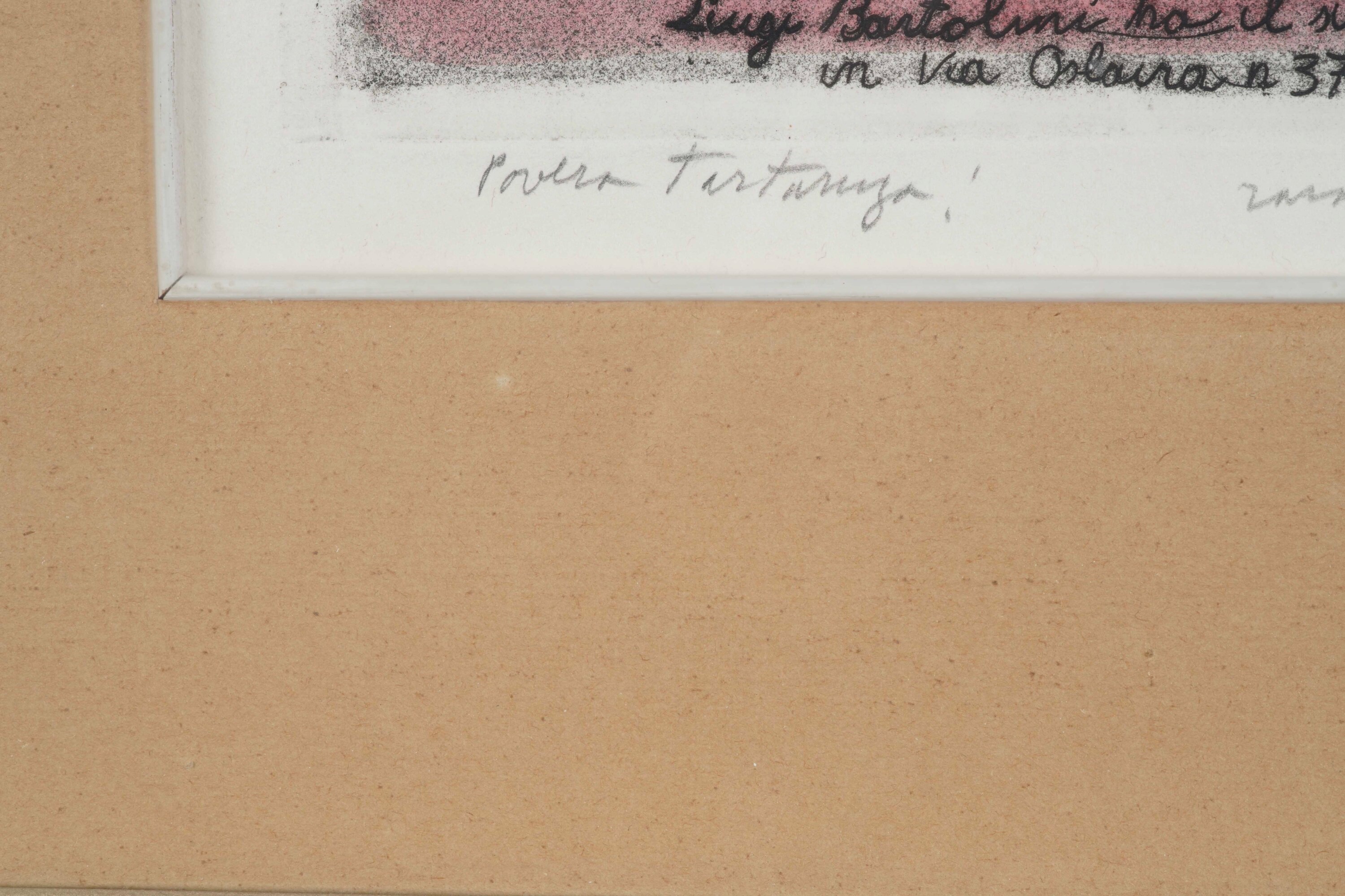 Luigi Bartolini - Povera Tartaruga (o Tartaruga Rovesciata)