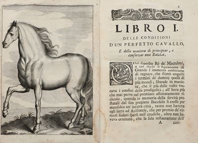 Garzoni Marino (1418-1505) L’arte di Ben Conoscere e Distinguere le Qualità dei Cavalli, Venezia,...