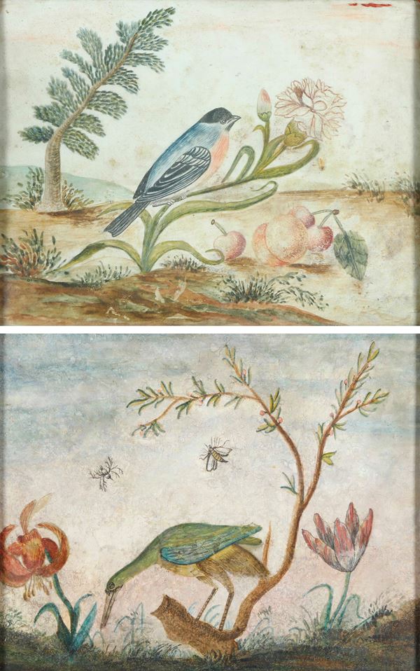 Octavianus Monfort (attivo in Piemonte nel XVII secolo) - Soggetti naturalistici con volatili