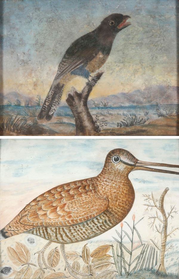 Octavianus Monfort (attivo in Piemonte nel XVII secolo) - Soggetti naturalistici con volatili