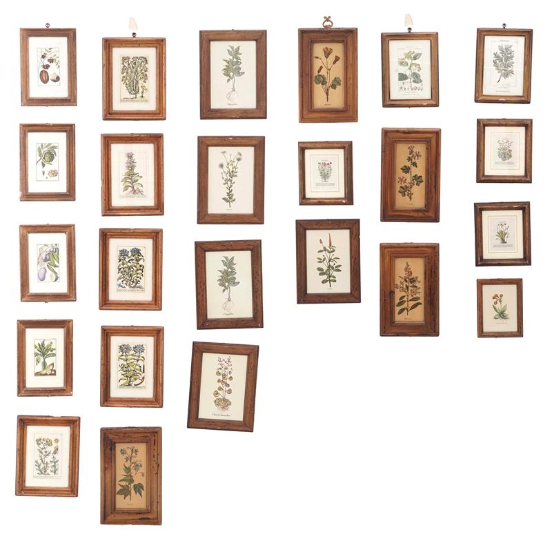 Lotto di stampe in cornice raffigurante fiori  - Auction Antiques - Cambi Casa d'Aste