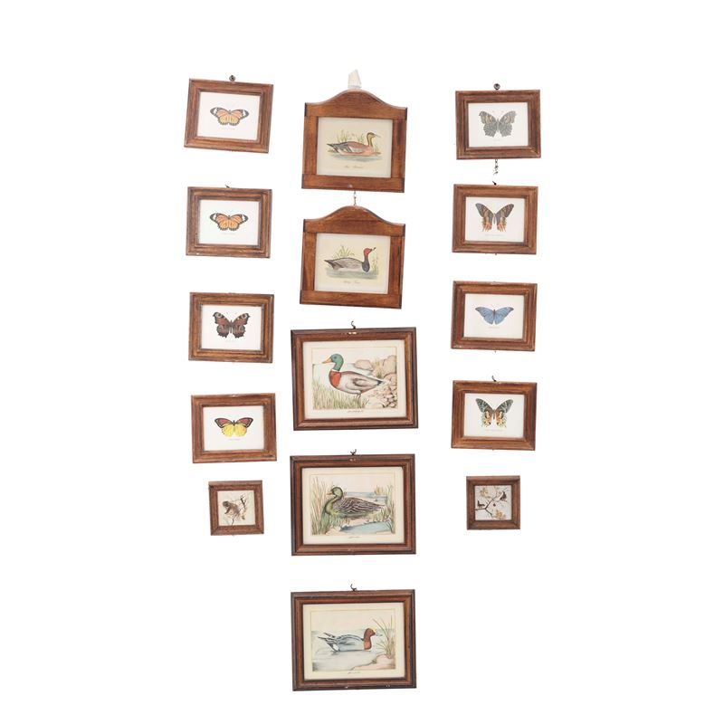 Lotto di stampe raffiguranti animali e insetti  - Auction Antiques - Cambi Casa d'Aste