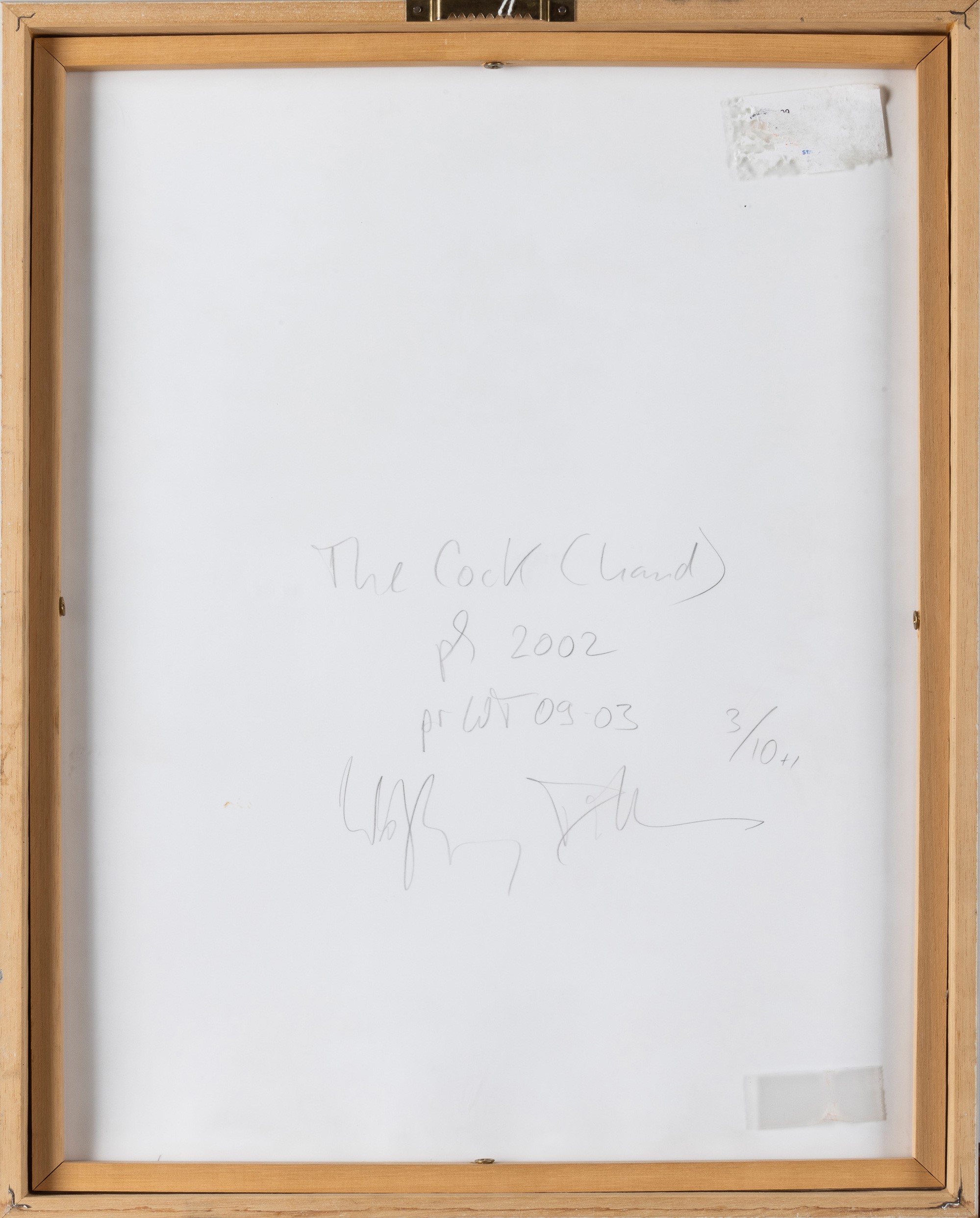 Wolfgang Tillmans - The Cock (hand)