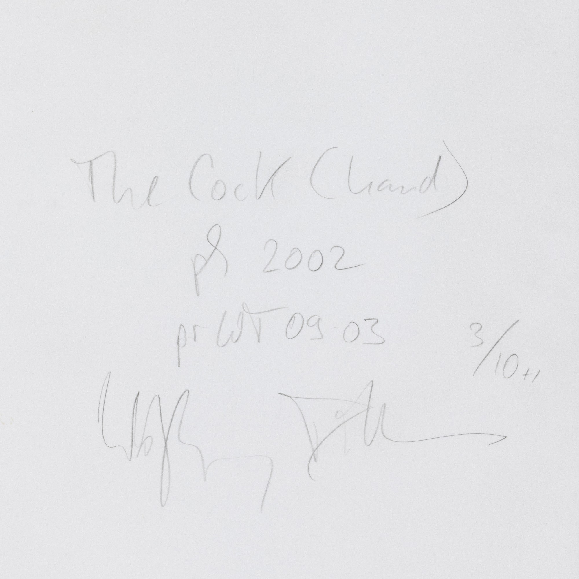Wolfgang Tillmans - The Cock (hand)