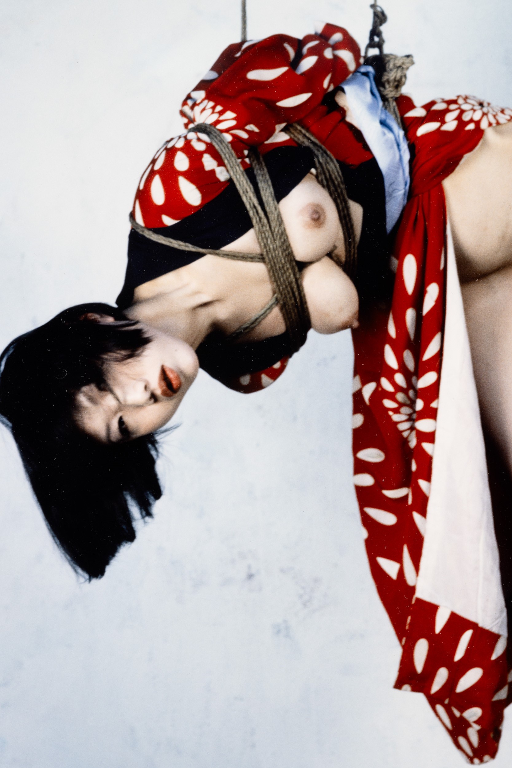 Araki Gold