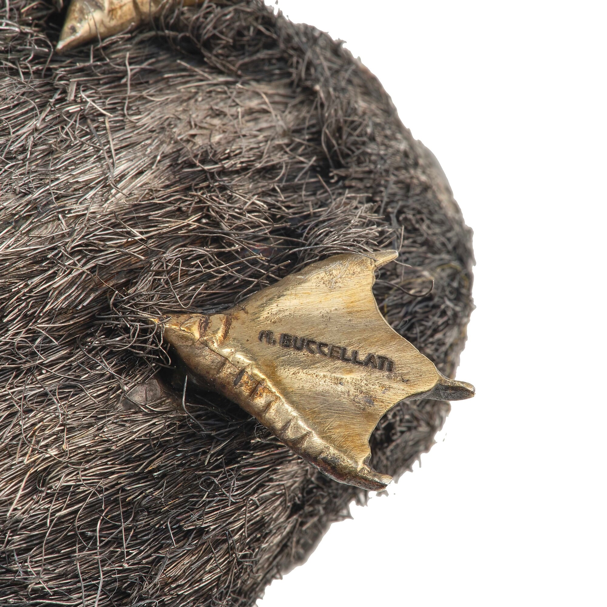 M. Buccellati. Anatroccolo