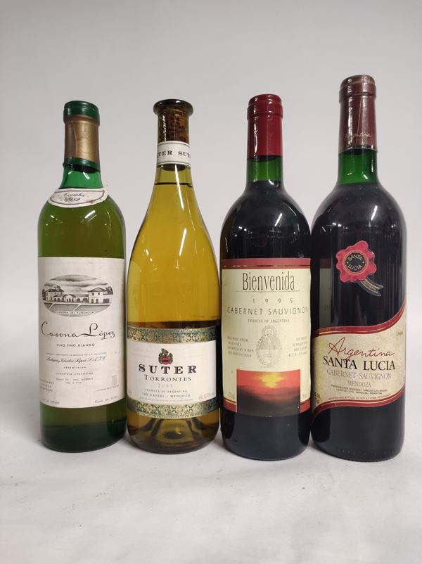 Selezione Argentina, Cabernet, Suter