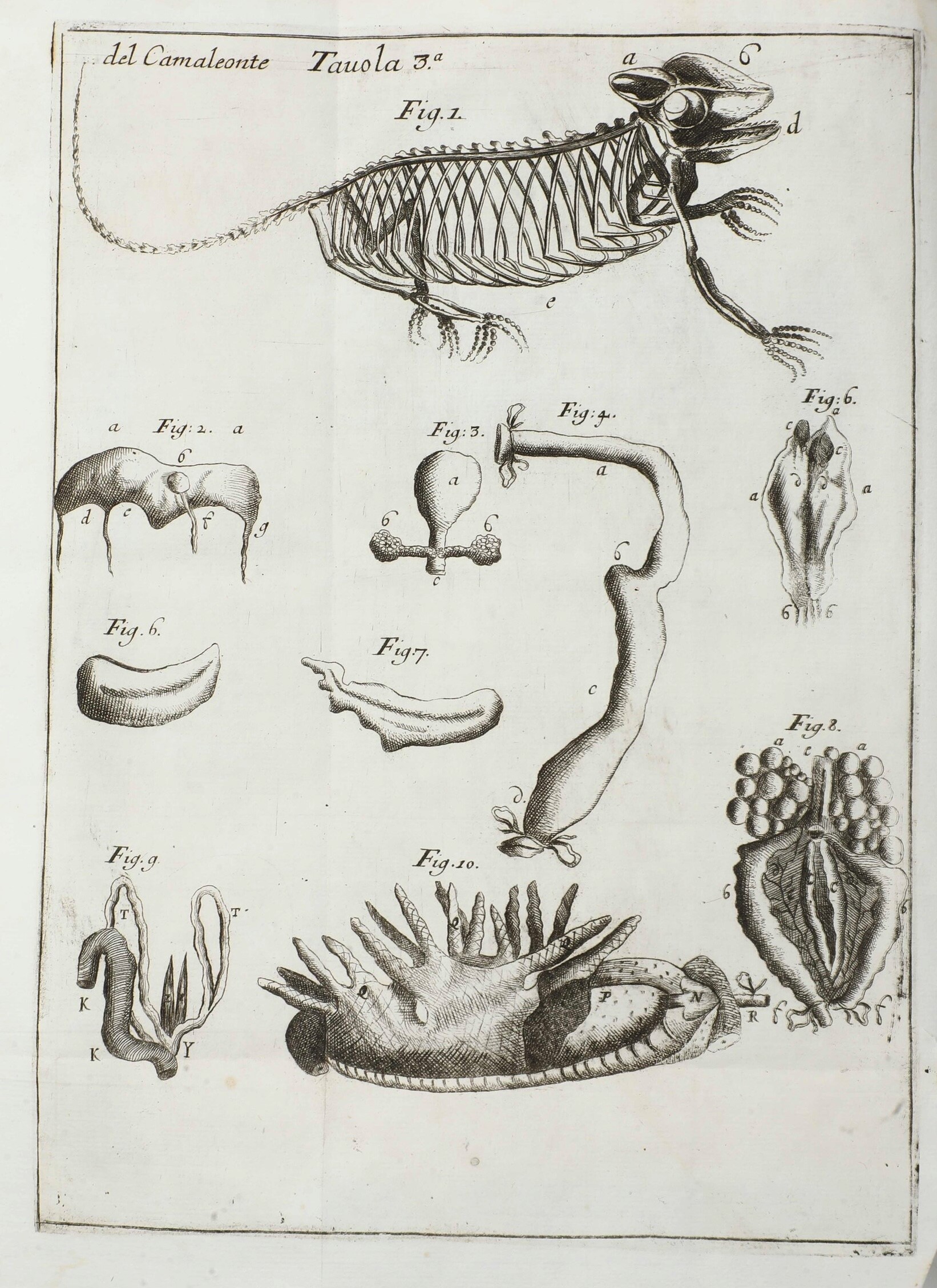 Vallisnieri Antonio (1661-1730) Opere Diverse... Cioè: I, Istoria del Camaleonte Affricano e Vari...