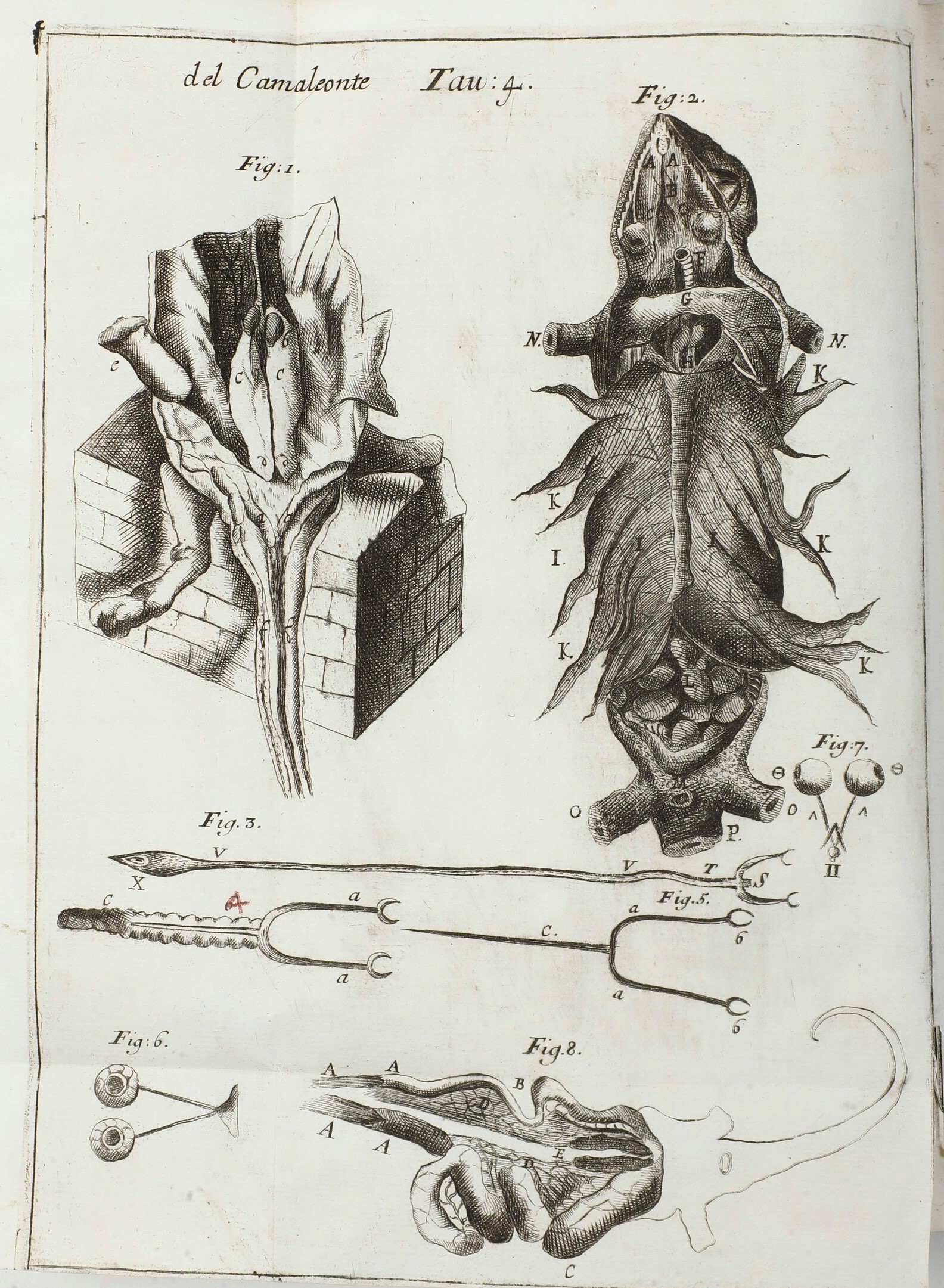 Vallisnieri Antonio (1661-1730) Opere Diverse... Cioè: I, Istoria del Camaleonte Affricano e Vari...