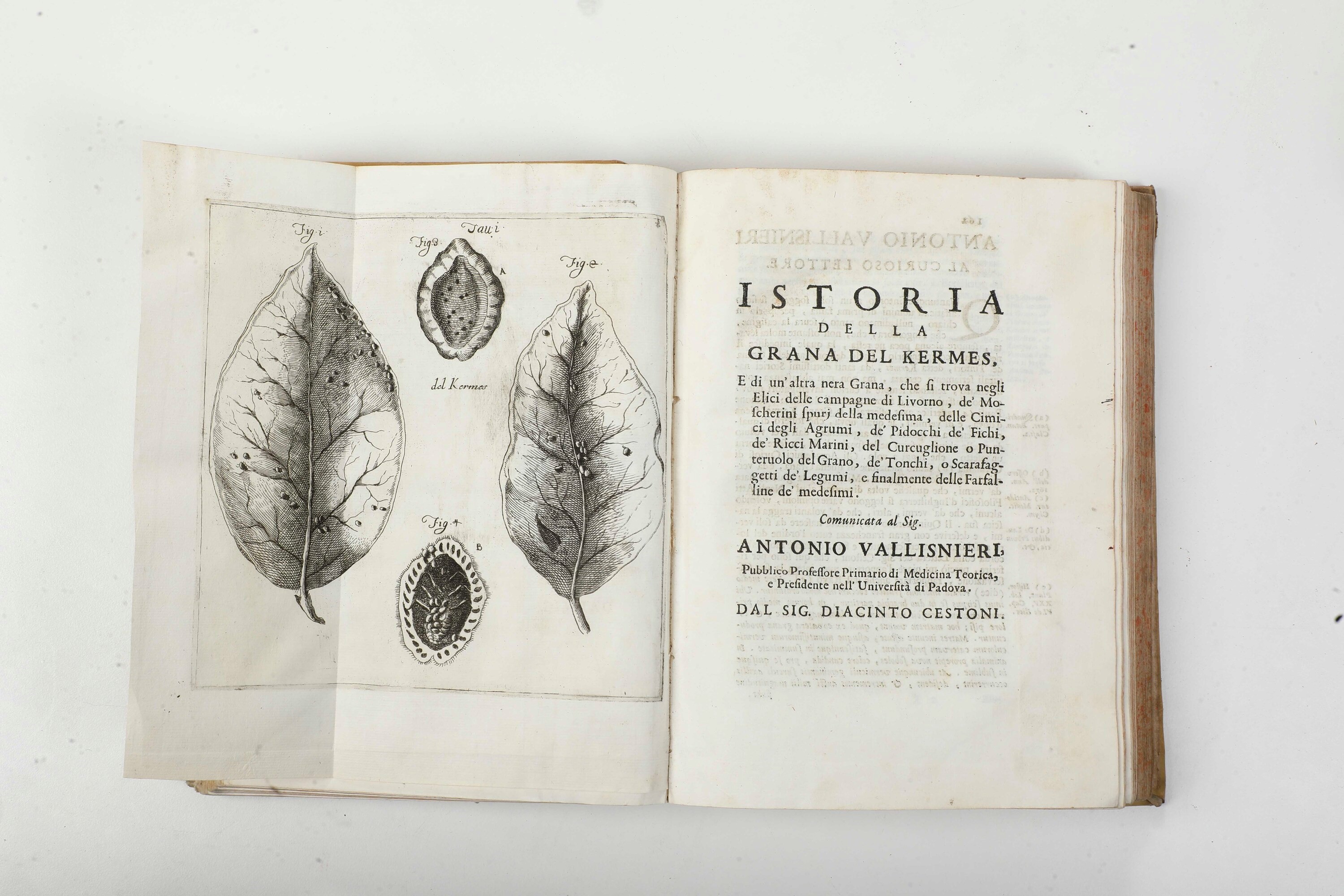 Vallisnieri Antonio (1661-1730) Opere Diverse... Cioè: I, Istoria del Camaleonte Affricano e Vari...