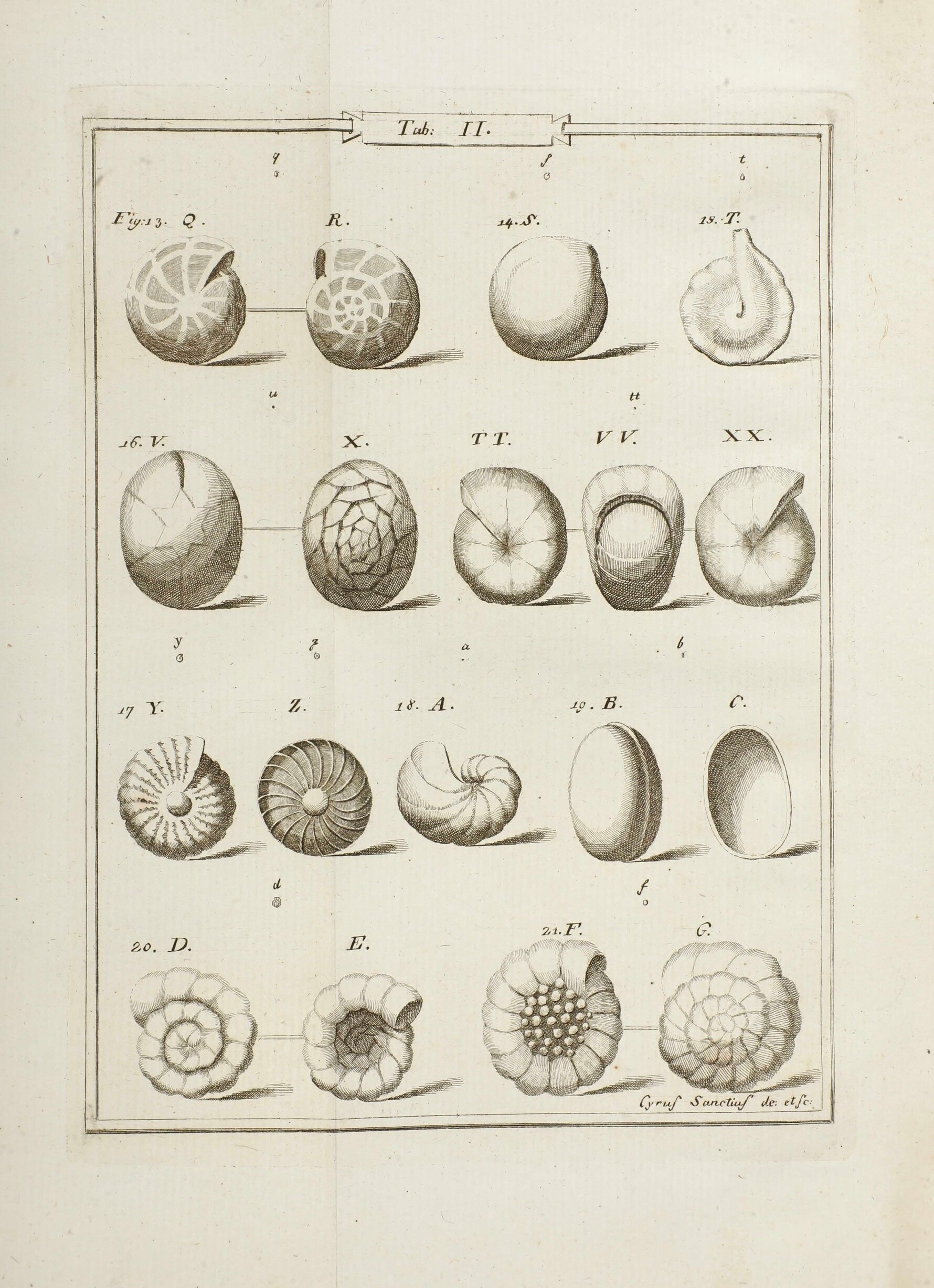 Soldani Ambrogio Saggio Orittografico, Ovvero Osservazione Sopra le Terre Nautilitiche ed Ammonit...