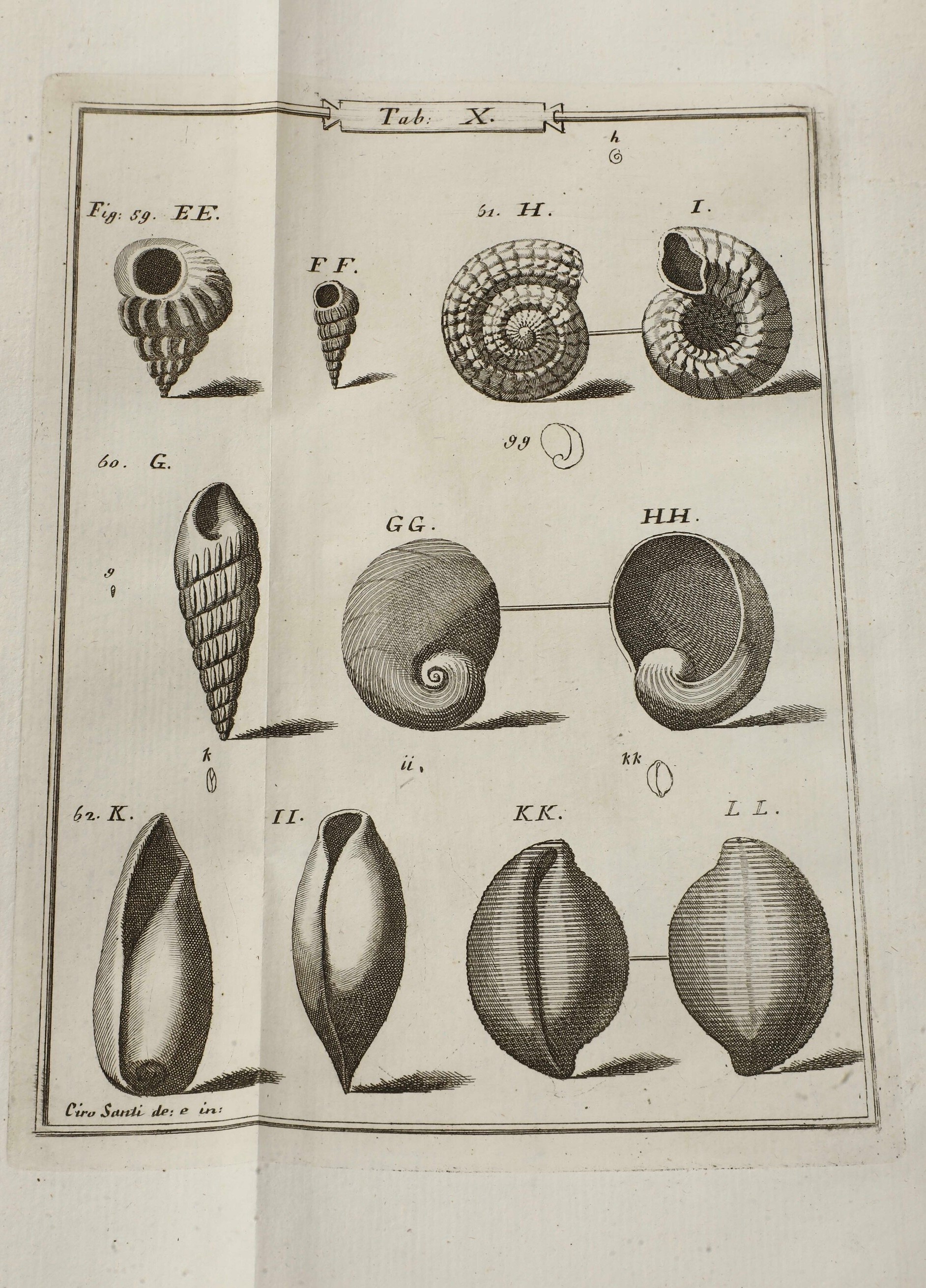 Soldani Ambrogio Saggio Orittografico, Ovvero Osservazione Sopra le Terre Nautilitiche ed Ammonit...