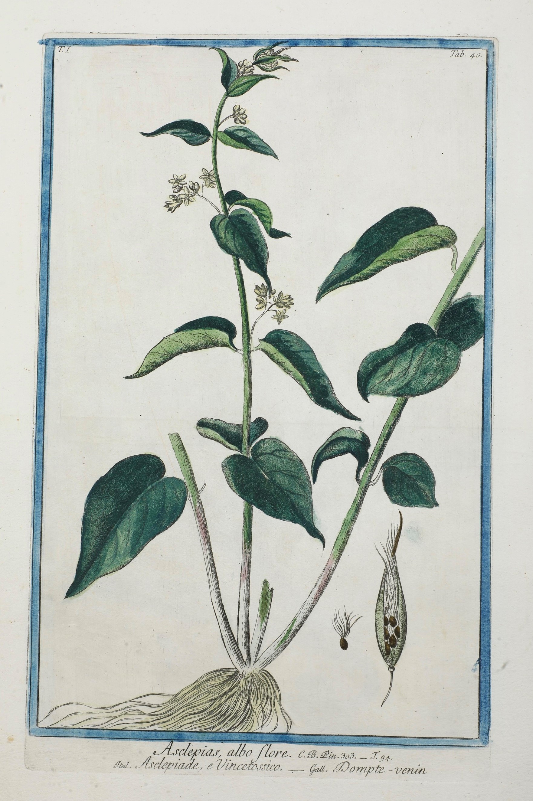 Bonelli Giorgio (1724-1803) - Martelli Niccolò (1735-1829) Hortus Romanus Iuxta Systema Tournefor...