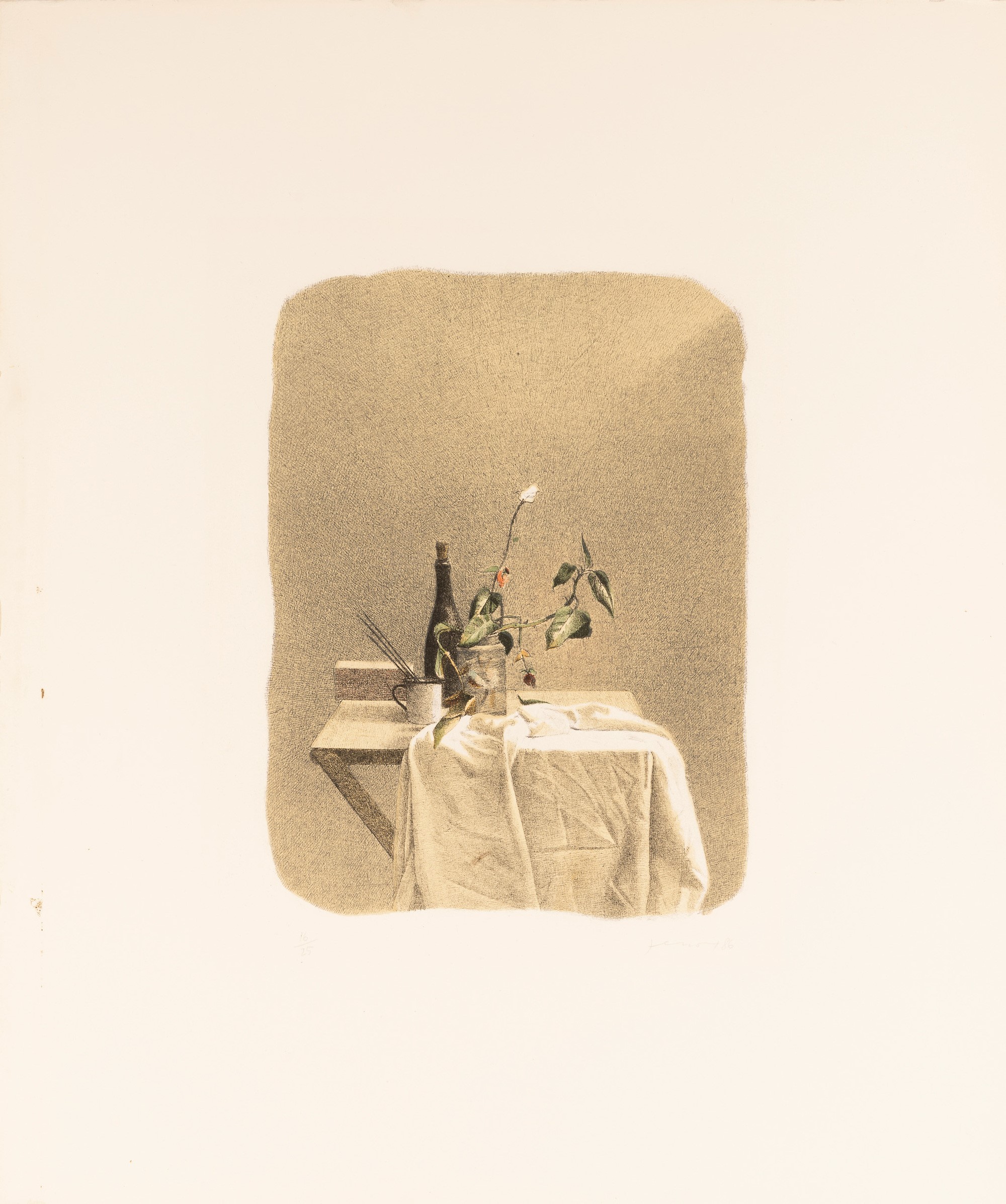 Gianfranco Ferroni - Oggetti Fiori e Panneggio