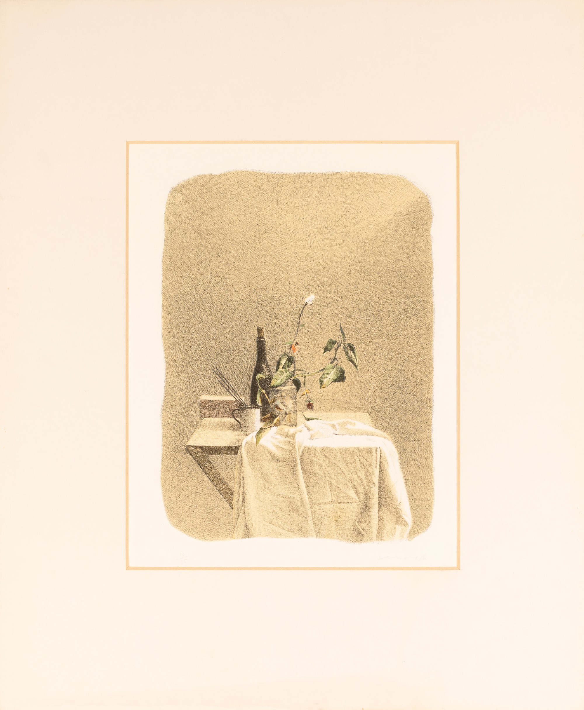 Gianfranco Ferroni - Oggetti Fiori e Panneggio