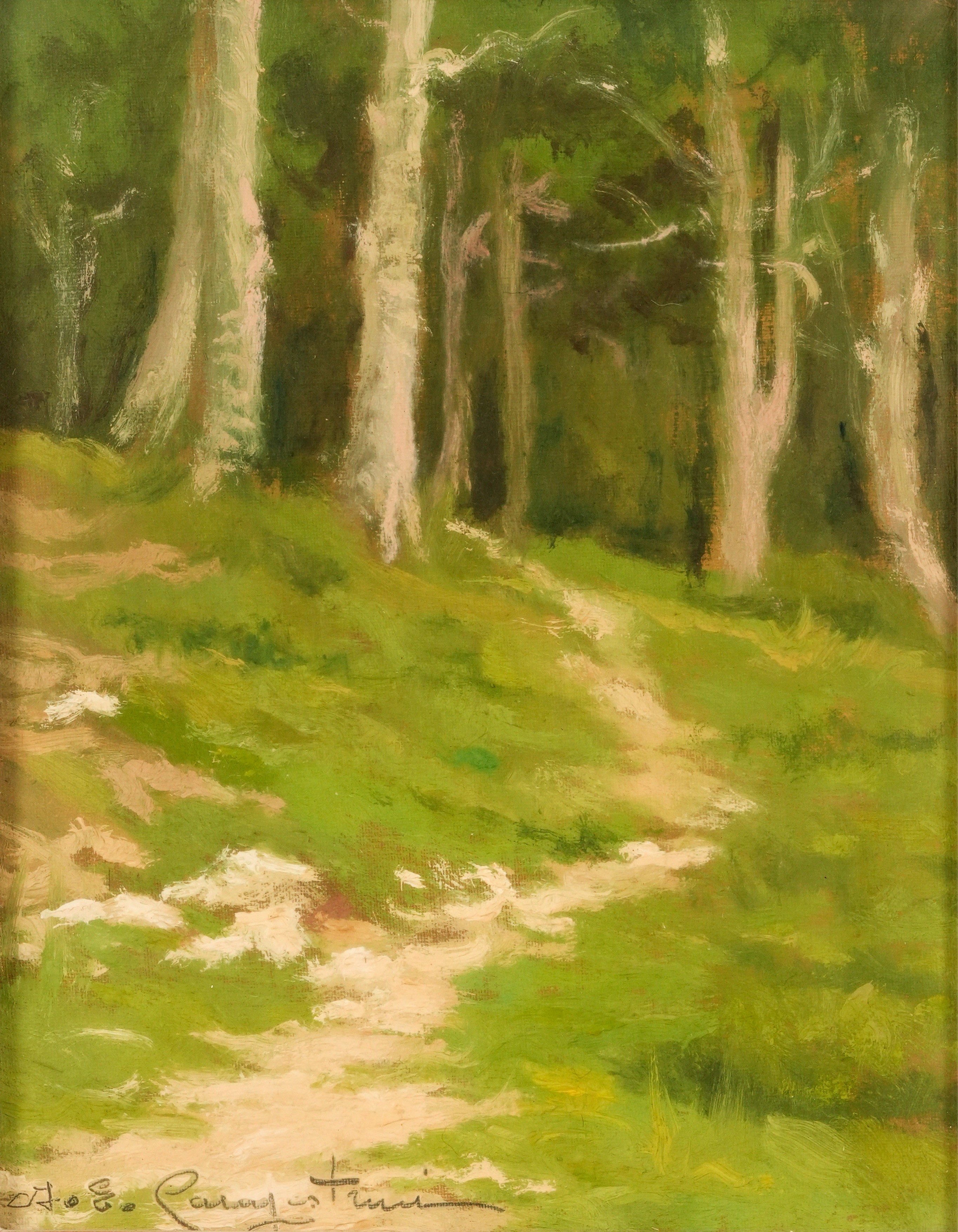 Alcide Campestrini - Il sentiero della pineta