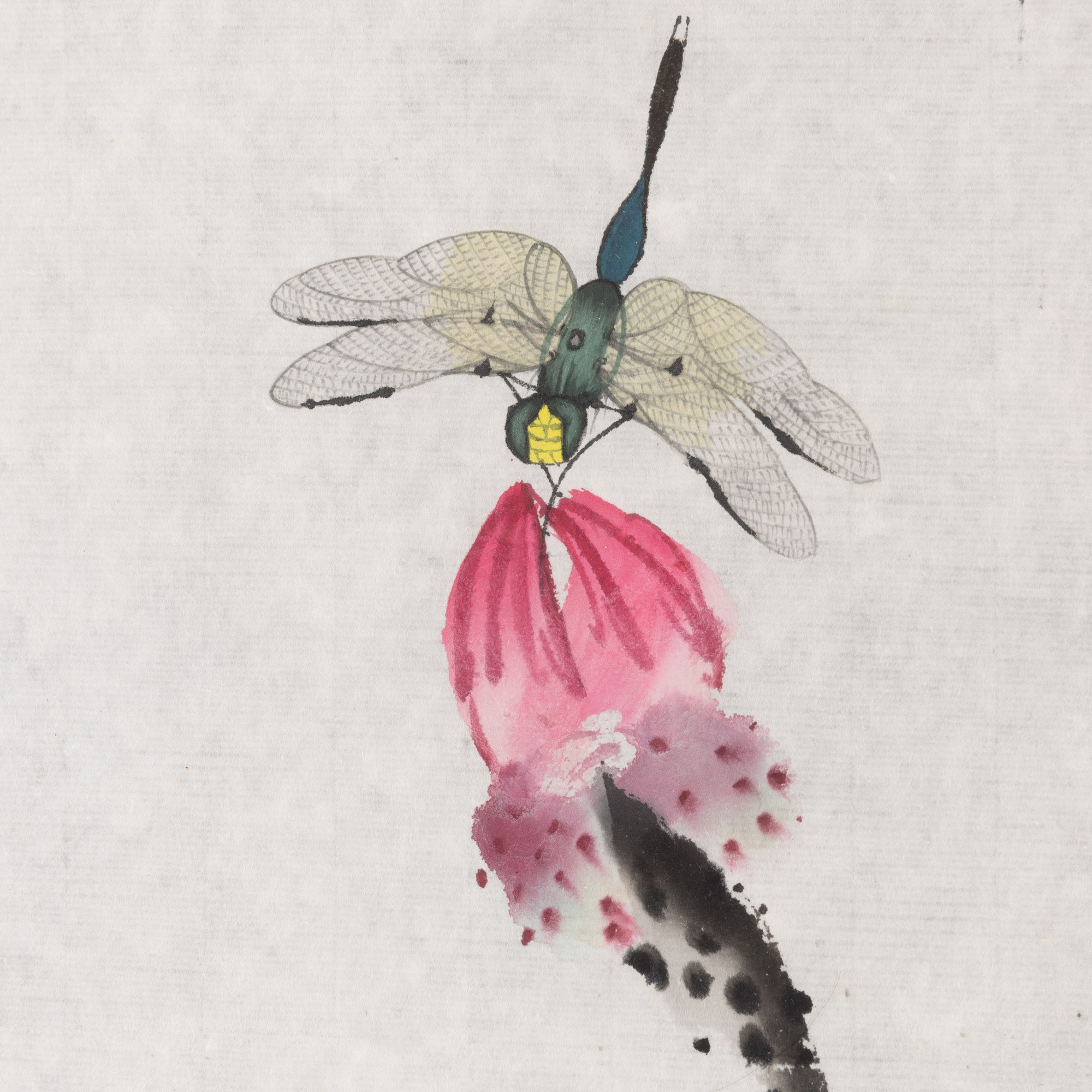 Scuola di Qi Baishi, Disegno di fiore con libellula, iscrizioni e sigillo, Cina (XX secolo)