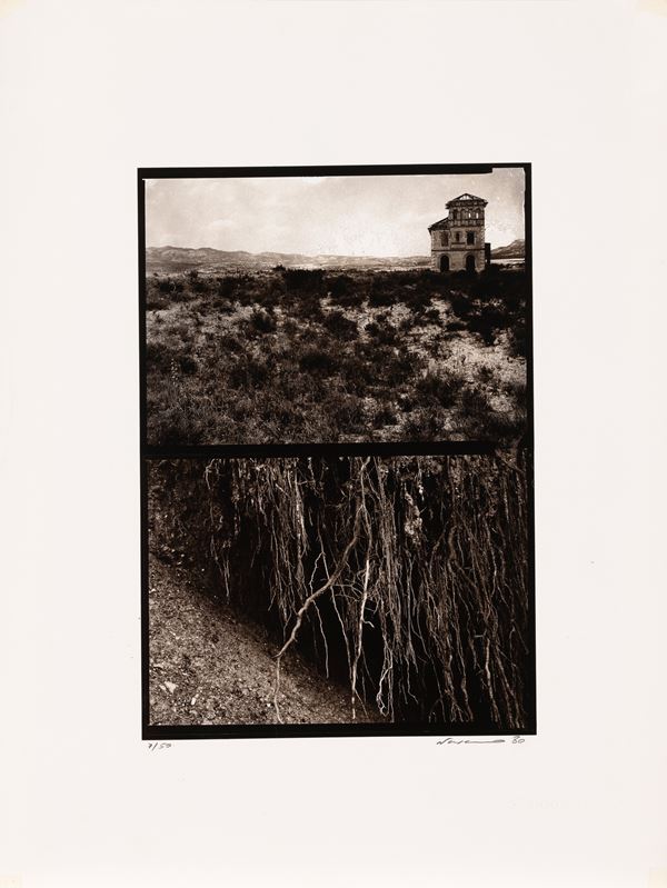 Rafael Navarro - Senza titolo