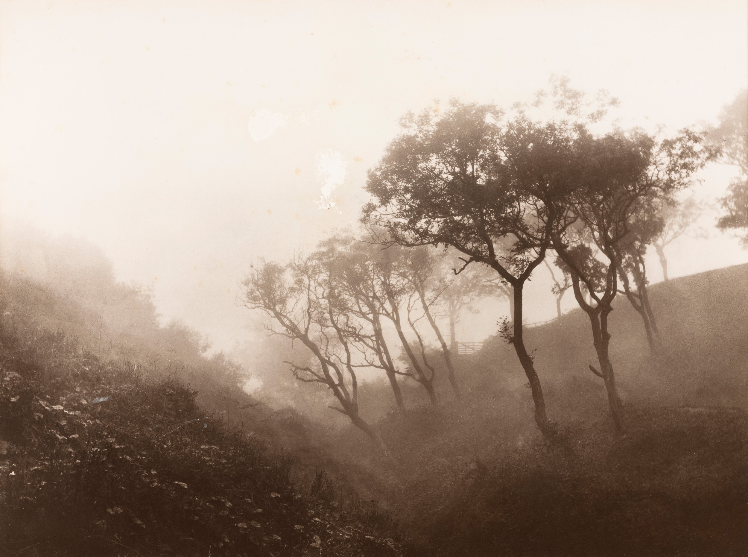 Lotto di due fotografie The Diamond Of Scarborough & Trees in a Misty Valley