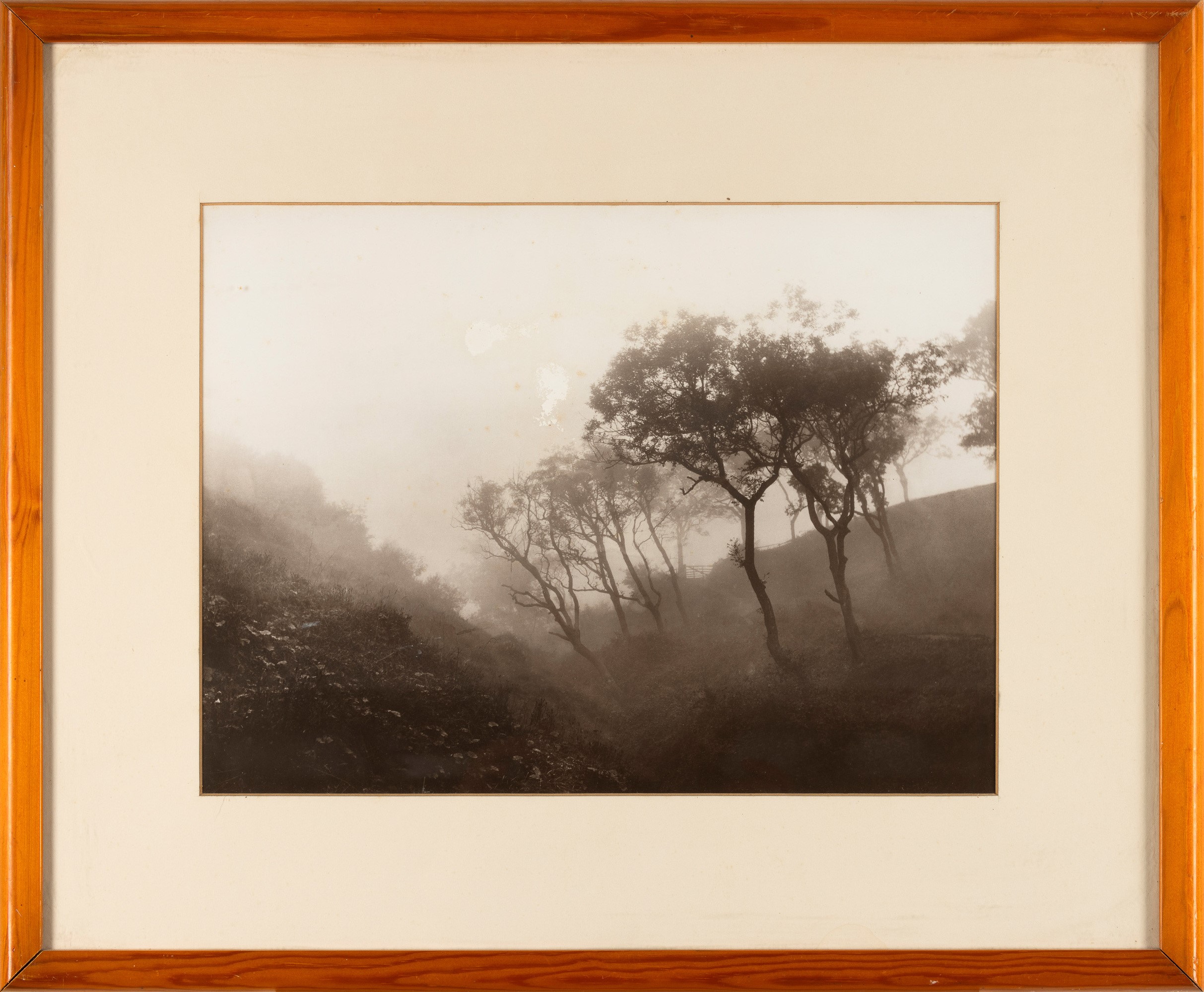 Lotto di due fotografie The Diamond Of Scarborough & Trees in a Misty Valley