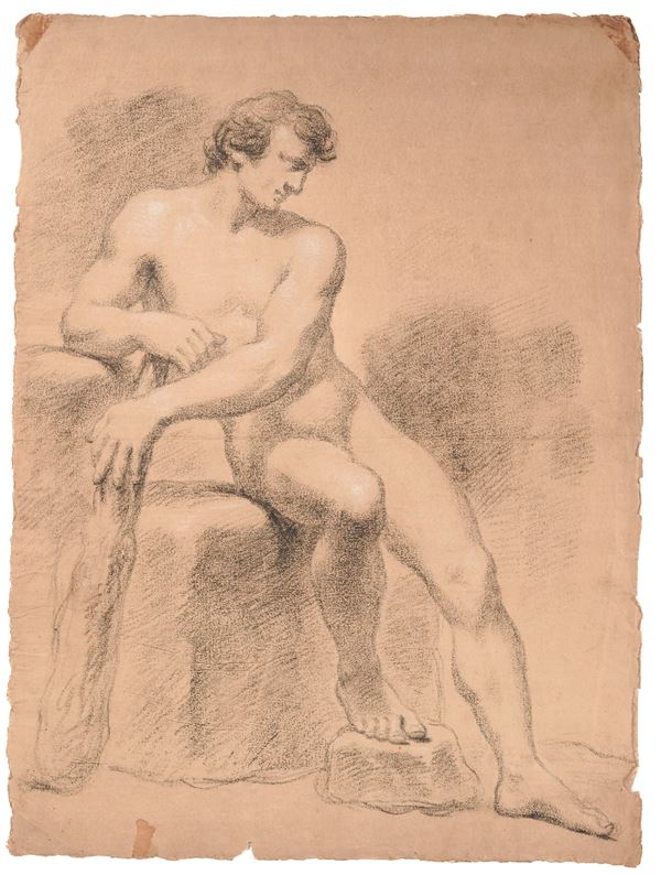 Scuola emiliana del XIX secolo Studio anatomico