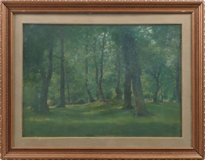 Marco Calderini (attributo A) Bosco di Castagni di Villar Pellice