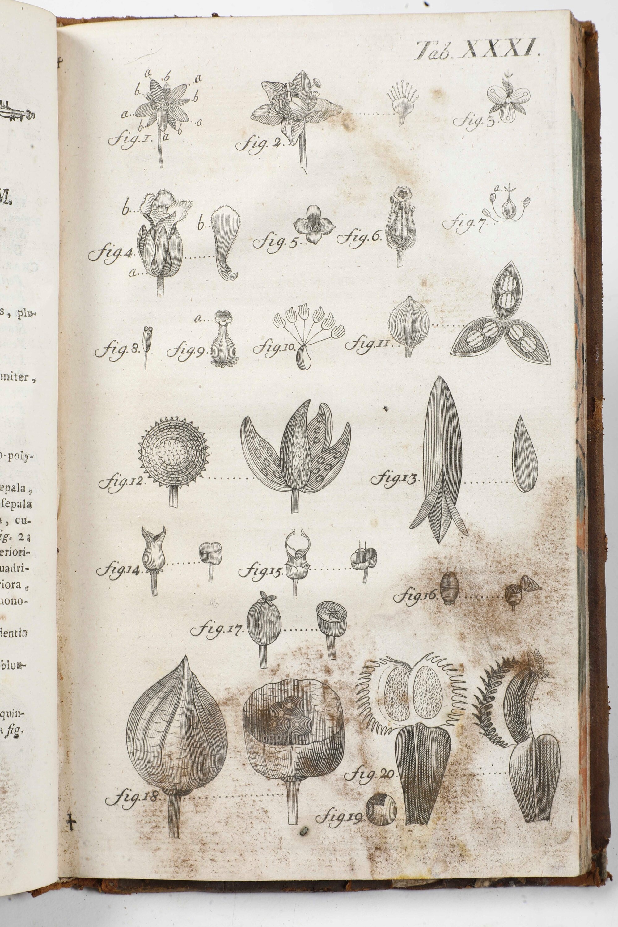 Miscellanea di Volumi per lo Più Spaiati, con Rilegature del Secolo XIX.