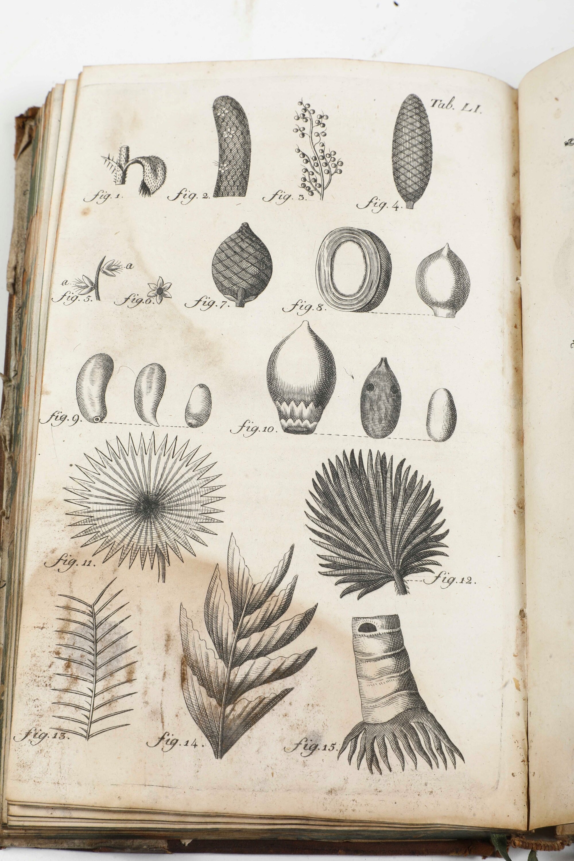 Miscellanea di Volumi per lo Più Spaiati, con Rilegature del Secolo XIX.