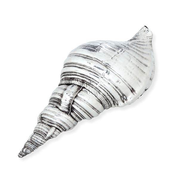 Etichetta a scudo Maison Mario Buccellati. Italia XX-XXI secolo Conchiglia ricoperta in argento