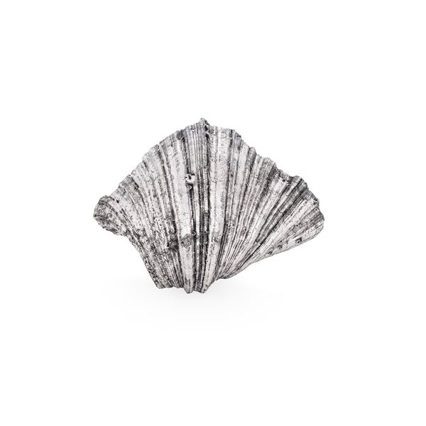 Etichetta a scudo Maison Mario Buccellati. Italia XX-XXI secolo Conchiglia ricoperta in argento