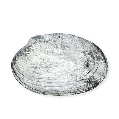 Etichetta a Scudo Maison Mario Buccellati. Italia XX-XXI Secolo Conchiglia Ricoperta in Argento