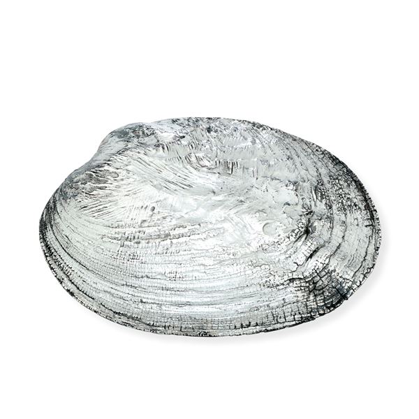 Etichetta a scudo Maison Mario Buccellati. Italia XX-XXI secolo Conchiglia ricoperta in argento