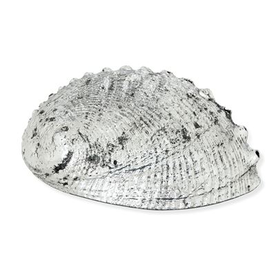 Etichetta a Scudo Maison Mario Buccellati. Italia XX-XXI Secolo Conchiglia Ricoperta in Argento