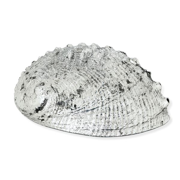 Etichetta a scudo Maison Mario Buccellati. Italia XX-XXI secolo Conchiglia ricoperta in argento