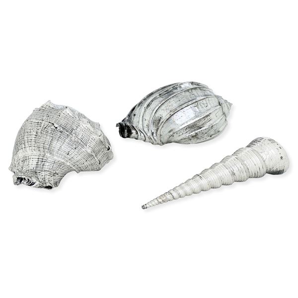 Etichetta a scudo Maison Mario Buccellati. Italia XX-XXI secolo Lotto di tre conchiglie ricoperte in argento