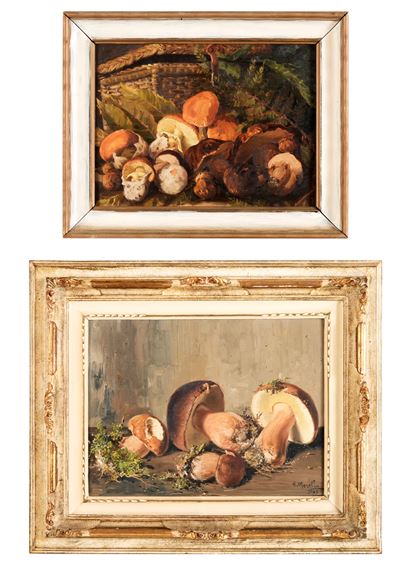 Due dipinti con funghi