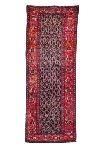 Passatoia Malayer, Persia, inizio XX secolo