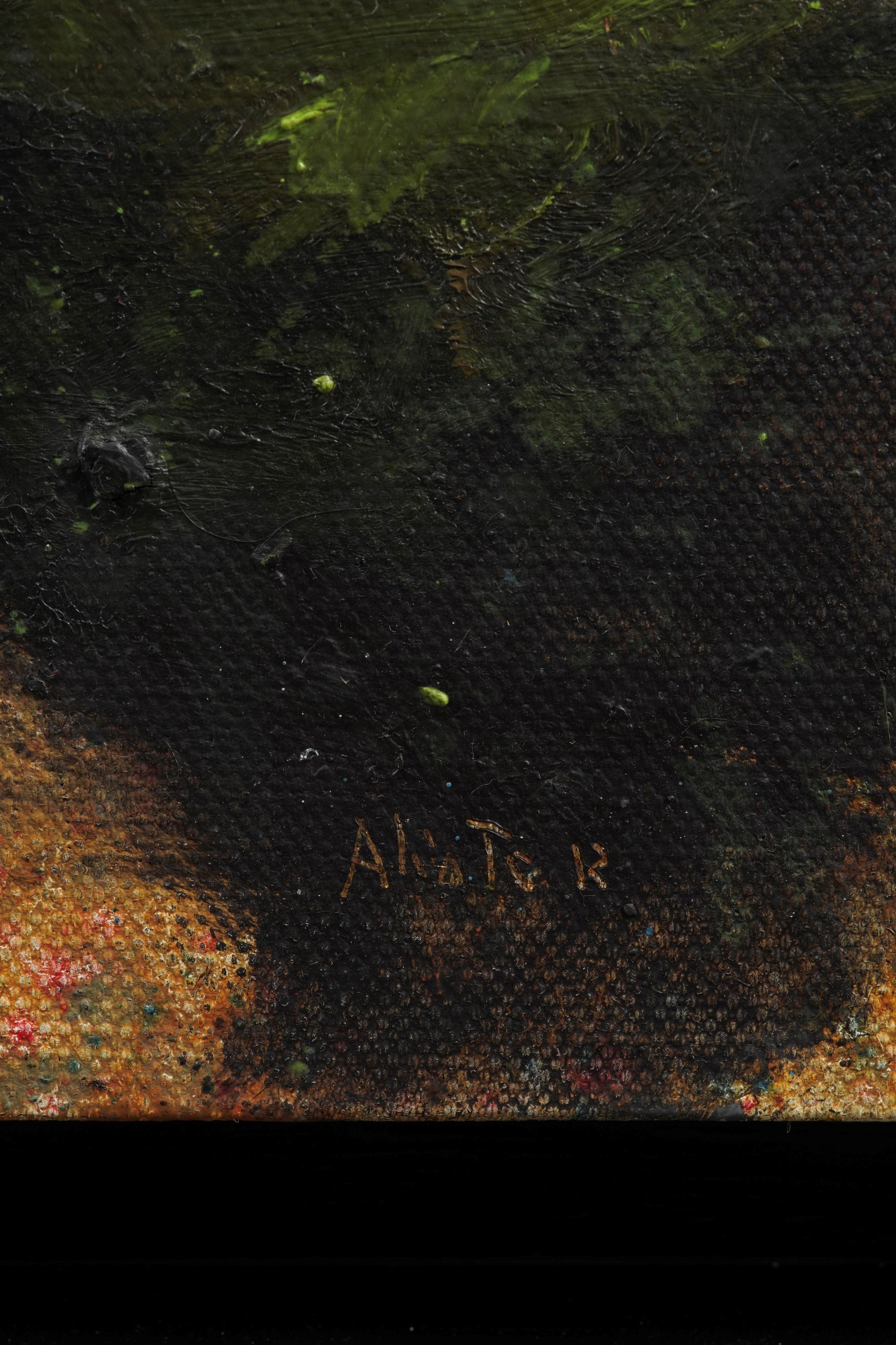 Massimiliano Alioto - Naturale