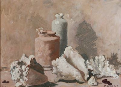 Natura morta con conchiglie, olio su tela