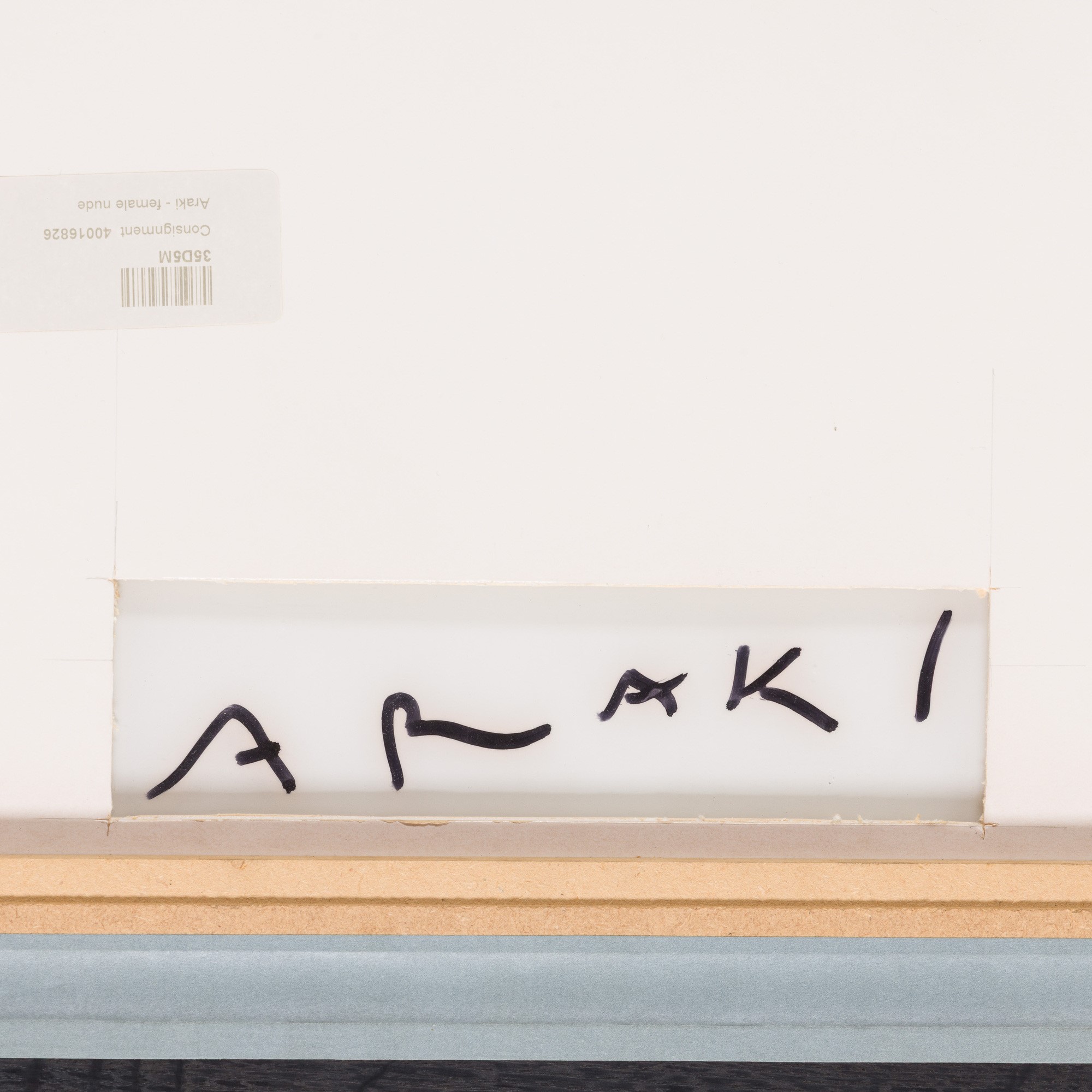 Untitled (araki's Diary)