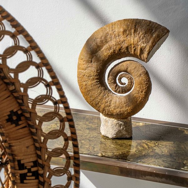 Rara e grande ammonite eteromorfa, Ancyloceras sp. Cretacico inferiore, (143-113 Milioni di anni circa)